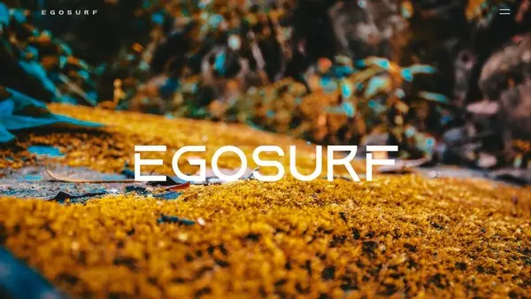 EgoSurf Freelancing